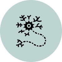 Neuro Rehab