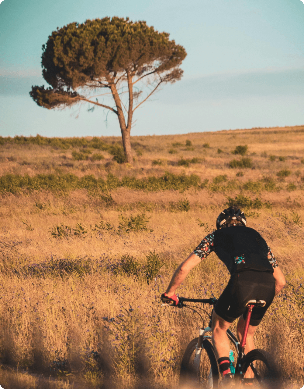 Functional Training